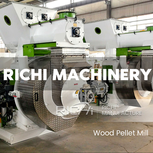 Machine à granulés de bois RICHI - Haute efficacité pour eucalyptus, pin, chêne - <span class=keywords><strong>Prix</strong></span> de la machine à granulés de bois chinoise - Product Image 5