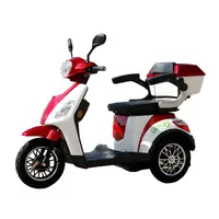 Electric Tricycle for Disabled People, Mobility, 48V, 500 W