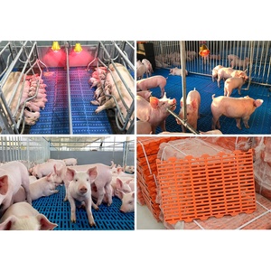 <span class=keywords><strong>Prix</strong></span> d'usine, bonne capacité de charge, 320 <span class=keywords><strong>kg</strong></span>, équipement d'élevage porcin, sols en plastique pour porcs - Product Image 2