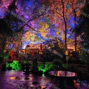 <b>Outdoor</b> Flood <b>Light</b> for Creating Wide Color Coverage Across <b>Trees</b> Walls Facades and Large Landscape Features - Product Image 5