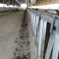 Produit de services de fabrication de porte d'alimentation de bétail galvanisé par panneau de verrouillage de vache à verrouillage automatique robuste