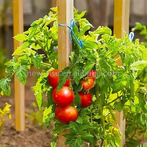 150cm <strong>Wooden</strong> <strong>Garden</strong> Plant Support <strong>Stakes</strong> Ground <strong>Stakes</strong> Hardwood <strong>Stakes</strong> <strong>for</strong> Plant &amp; Trees Flowers - Product Image 6