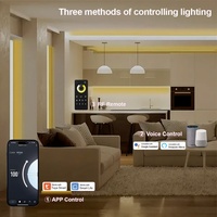 C206Z Aipin MESH Group&Sync Zigbee Smart CCT LED Strip Light Universal PWM Controller 4-Zone Remote IP20 DC12-24V 360W App CE