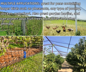 Filet de protection agricole extra résistant en plastique noir pour jardin, verger et balcon (<span class=keywords><strong>anti</strong></span>-pigeons) - Product Image 5