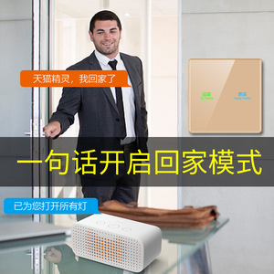 Huachao Smart <b>Switch</b> Champagne Gold <b>Touch</b> Panel Voice Control Tmall Genie Android 220V AC Remote Control <b>Switches</b> - Product Image 3