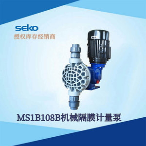 Bomba Dosificadora de Diafragma Mecánica SEKO MS1B108B con Motor Eléctrico para Tratamiento de Agua - Product Image 5