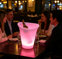Seau à glace LED multicolore étanche IP65, rechargeable, avec télécommande, refroidisseur de vin lumineux, Noël, Halloween