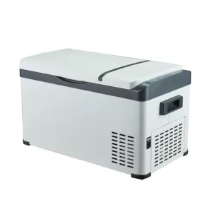 Cixi Car Mini frigo personalizzato Mini frigorifero portatile di bellezza per auto frigoriferi per auto Ac/Dc più economici congelati 40L 12V 24V
