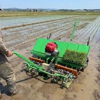 Transplanteur de riz miniature 2ZT-6A à vendre