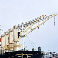 Grue marine sur mesure de 5, 10, 15, 20, 30, 50 tonnes pour le levage de cargaisons, grue de pont marine avec système hydraulique pour l'installation sur navires
