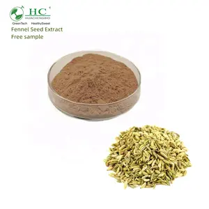 Prix usine naturel Foeniculum Vulgare extrait de fenouil poudre d'extrait de graines de fenouil