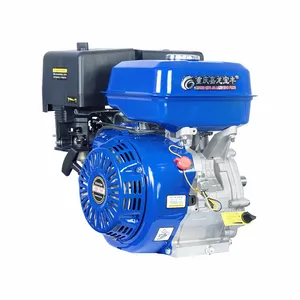 Chinese 3600Rpm Ohv 9Hp Single Cylinder 4 Stroke Small Mini Gasoline Gas Engine Engines