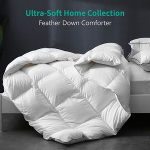 Chăn Lông Ngỗng Trọng Lượng Nhẹ Chăn Giường Làm Mát Hoàn Toàn Cỡ Queen - Product Image 2