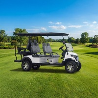 Voiturette de golf électrique homologuée pour la route Leibin, 6 places, batterie lithium 72V, couleur personnalisée, buggy tout-terrain, autonomie 90 km, vitesse 30-50 km/h, châssis en acier
