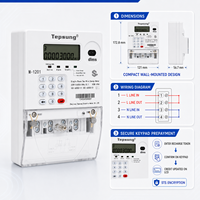 Medidor de Energía Monofásico Tepsung M-1201 IP54 Inteligente con Teclado de Prepago STS, Multitarifa/Antimanipulación/Limitación de Potencia
