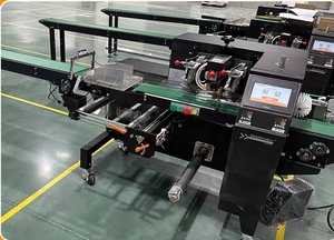 Máquina Envolvedora Automática Eléctrica de 3 Servomotores SZ-350 para Envasado de Alimentos (Snacks, Confitería) de Alta Productividad - Product Image 5