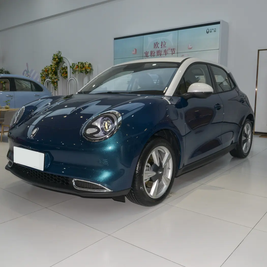 20% kapalı Volkswagen Beetle yedek ucuz Ora Good Cat 500km lüks sürüm elektrikli araç bayanlar için