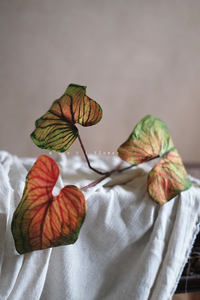 Caladium Artificiale a Stelo Lungo, Ramo Finto con Foglie Variegato a <span class=keywords><strong>Cuore</strong></span> per Composizioni Floreali da Vaso, Decorazioni Verdi per Matrimoni e Casa - Product Image 4