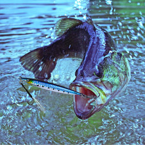 <span class=keywords><strong>Esca</strong></span> da Jigging ad Affondamento Rapido Rivestimento Galvanico 3D 14g 17g 21g 28g 35g 45g Artificiali da Pesca in Metallo con Assist Hook e Ancoretta - Product Image 2