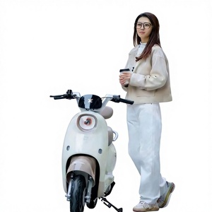 Vélo Électrique Urbain Pliable 48V 500W <span class=keywords><strong>500Wh</strong></span> 7 Vitesses, Cadre en Acier Carbone, Frein à Tambour, Moteur Moyeu Arrière, Batterie Plomb-Acide, Autonomie 60km - Product Image 1