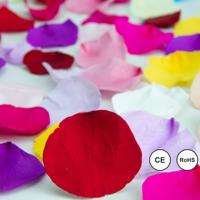 Pétales de roses éternelles en gros, pétales de fleurs éternelles colorées et durables pour la décoration de mariage