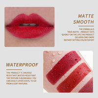 Rouge à lèvres crémeux mat, longue tenue, résistant aux taches, imperméable, effet mat, non collant, de luxe, minéral, populaire, marque privée