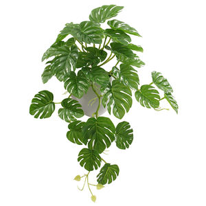 منتجات جديدة نباتات بيجونيا صناعية معلقة - Product Image 5