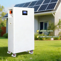 Batterie Lifepo4 48V 14Kwh 15Kwh 16Kwh 18KWH, batterie de stockage d'énergie autonome pour maison, station d'énergie solaire hors réseau
