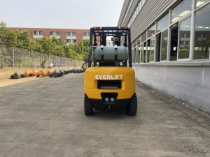 รถยกฮีลี่ 3 ตัน ใช้แก๊สโพรเพน ดีเซล และ LPG แบบสองระบบ ยกสูง 3000 มม. ได้รับการรับรองมาตรฐาน CE ISO รถยกแบบเครื่องยนต์สันดาปภายในสำหรับคลังสินค้า - Product Image 6