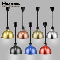 Huadison équipement de restauration Buffet nouvelle lampe d'isolation télescopique ascenseur suspendu 304 lustre alimentaire Buffet lampe chauffante