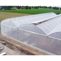 Tunnel modulaire Kit serre arrière-cour jardinage feuille de Polycarbonate serre Film agricole en acier plastique PO Film