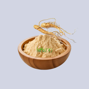 Bán buôn Mỹ chiết xuất nhân sâm gốc 5% 80% ginsenosides Chất lượng cao Mỹ chiết xuất nhân sâm - Product Image 2