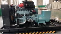 Generador eléctrico de carbón 10kW-500kW planta de energía