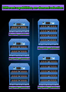 Incubadora de Polipropileno de Tamaño Pequeño a Precio de Fábrica, para Pollos, Patos, Gansos, Codornices, Avestruces, Reptiles y Pavos, con una Tasa de Incubación del 99% - Product Image 5