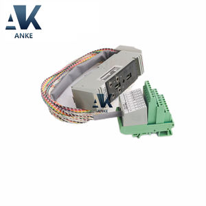 Cable de terminación Foxboro FBM4/39/44 P0500RY Invensys serie I/A - Product Image 1