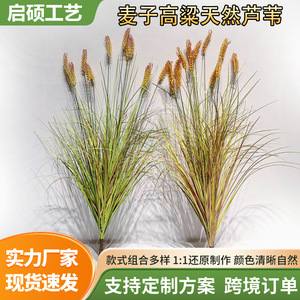 ช่อดอกข้าวสาลีเทียม PVC ขนาด 60 ซม. 80 ซม. 90 ซม. 100 ซม.  ตกแต่งงานแต่งงาน ตกแต่งบ้าน  ช่อกกธรรมชาติเสมือนจริง - Product Image 5