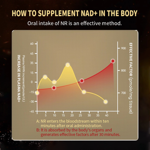 Капсулы OEM Healthcare Supplements с никотинамидадениндинуклеотидом (НАД) и транс-ресвератролом - Product Image 2