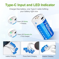 Fournisseur OEM Professionnel – Batteries Li-Ion Rechargeables USB Taille D 1,5 V 7400 mWh, Durée de Vie 1000 Cycles pour Lampes de Poche et Jouets Électriques