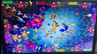 Logiciel de jeu d'arcade de tir de poissons de type Bombs Arcade Fish Shooting Game pour la vente