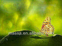 Équipement photographique Massa, accessoires pour appareil photo numérique, verre optique 77 mm, ensemble de filtres pour objectif d'appareil photo Close-up +1 +2 +4 +8 +10