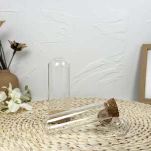 กระจกใส25*150มม. สำหรับหลอดทดลองพร้อมจุกแบนดีไซน์ในกล่องโฟม - Product Image 2