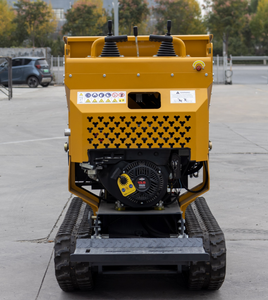 Mini autocarro con cassone ribaltabile da 500 kg in vendita con capacità di sollevamento incorporata. - Product Image 4