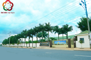 Robusta Café Instantané Haute Qualité Séché par Pulvérisation Goût Amer Caféiné 3in1 Mélange Origine Vietnam - Product Image 6