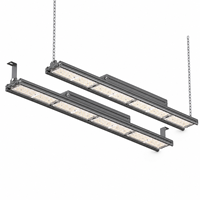 Projecteurs industriels de haute qualité 50W/100W/150W/200W à angle de faisceau optionnel pour terrains de badminton et projets de terrains de sport intérieurs