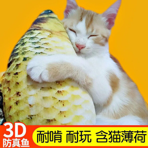 ของเล่นปลาคาร์พจำลองพร้อมแคทนิป ขนาด 20 ซม. แก้เบื่อสำหรับแมว - Product Image 3