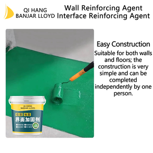 Agente Reforzador de Paredes Acrílico, Revestimiento Impermeable para Interiores y Exteriores para Electrodomésticos Pintados, Aplicación con Brocha - Product Image 5