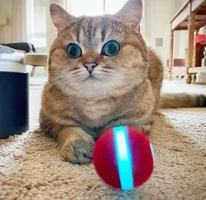 Mini Bola de entrenamiento electrónica interactiva inteligente para gato, Bola de entrenamiento, gran oferta, precio de fábrica