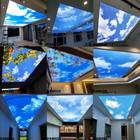 Diseños de Techo para Salón Sky Room, Techo Sencillo de Placas de Yeso, Película Impermeable de PVC, Techo Extensible, Caja de Luz