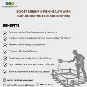 Alimento Probiótico para Acuicultura, Suplemento para Camarones, para una Cría de Camarones Saludable - Product Image 1