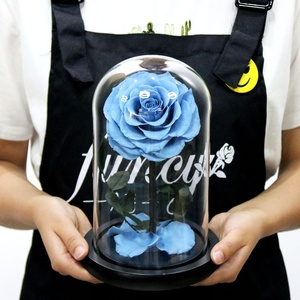 <span class=keywords><strong>Bella</strong></span> Rose, Flor Encantada en Cúpula <span class=keywords><strong>de</strong></span> Cristal, Decoración Elegante para el Hogar, Plant-FuncyFlora, Rojo, para Bodas, 12x20cm, Yunnan - Product Image 4